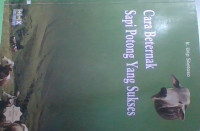 Image of Cara Beternak Sapi Potong yang Sukses