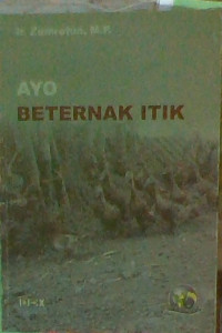 Image of ayo beternak itik