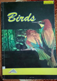 Image of Birds
